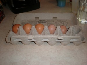 eggs in carton 2