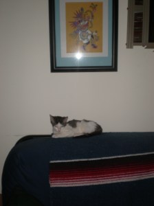 cleo on sofa cleo on sofa